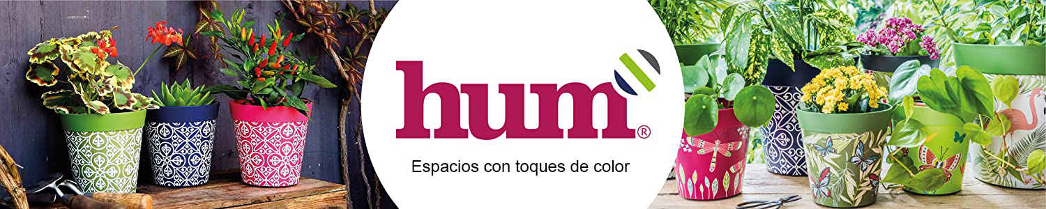 Amazon.es: Hum Flowerpots: opciones de color