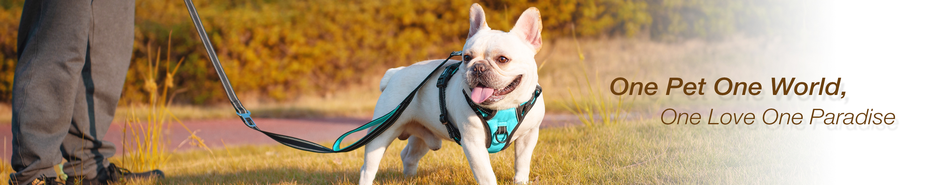 PoyPet Dog Harness