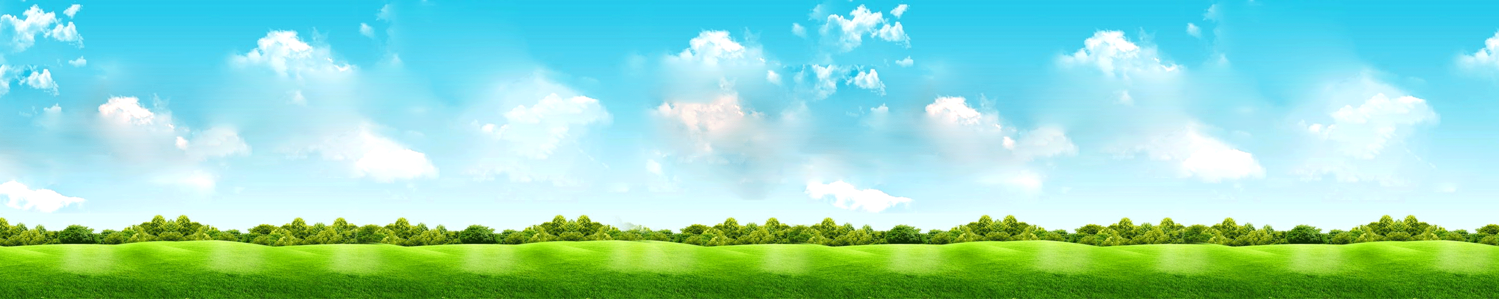 Amazon.co.jp Mint's Colorful Life 初心者向け