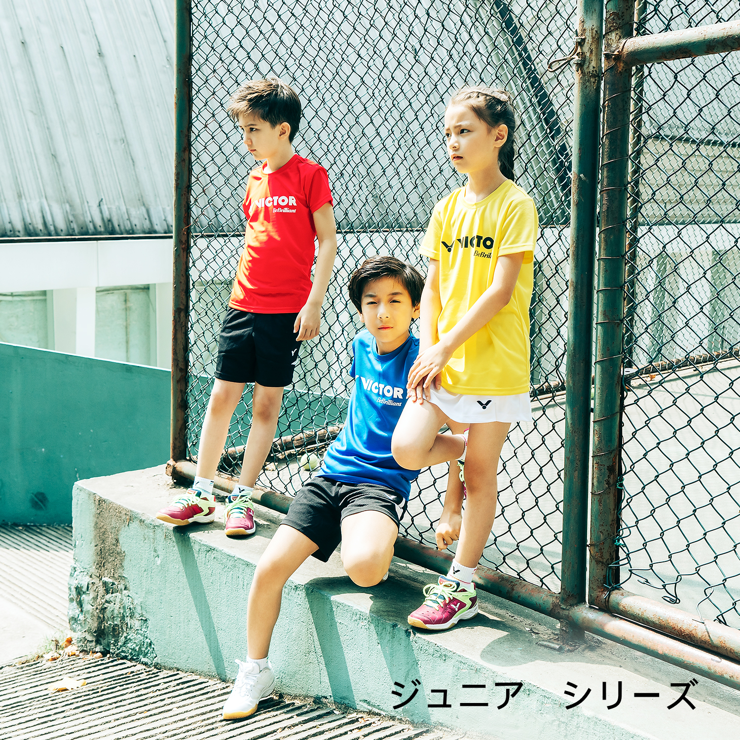 Amazon.co.jp: VICTOR