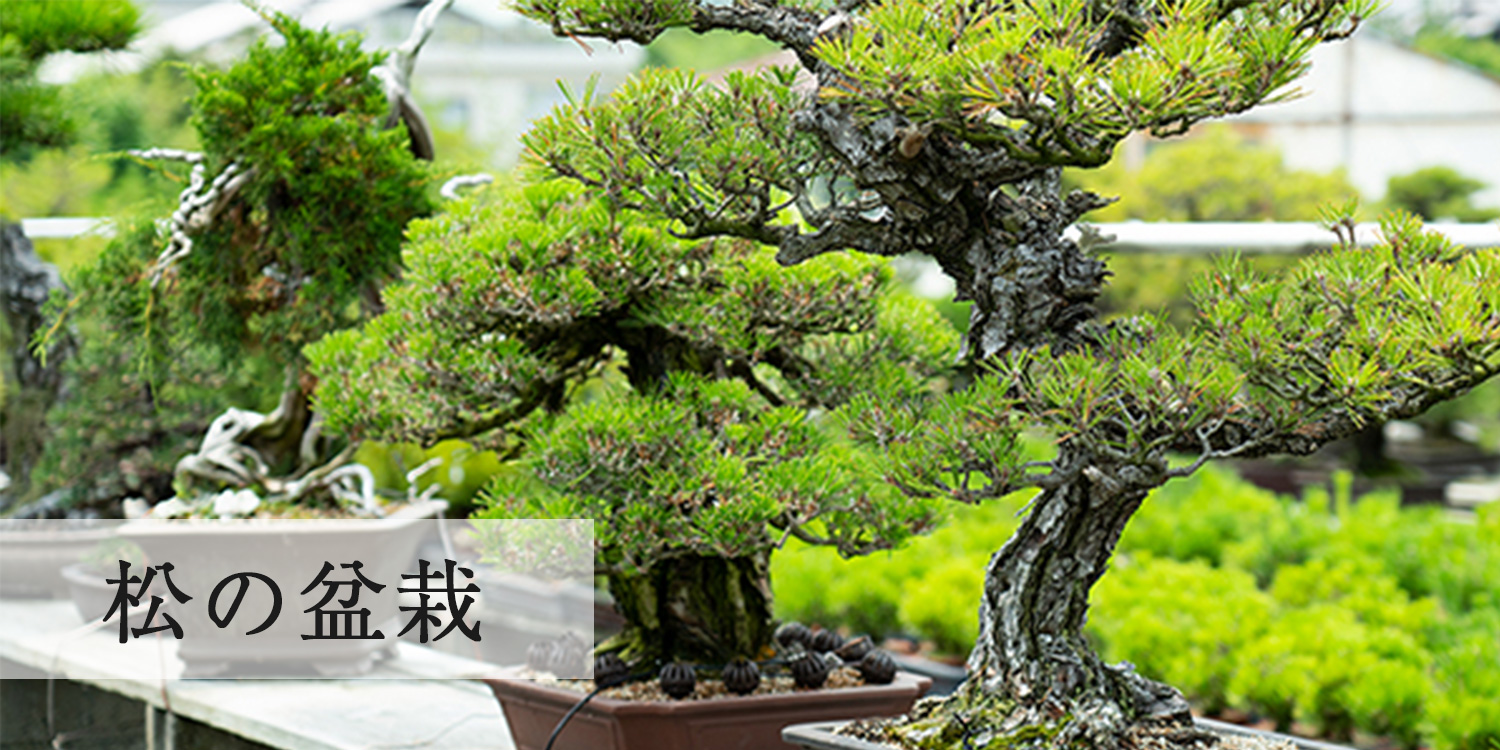 9d680f6f872e7feae05cf1fc5ee11c