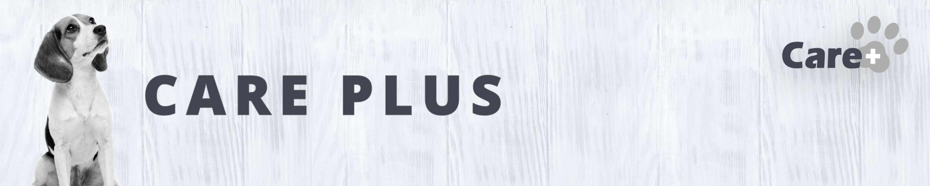 Amazon.co.jp CARE PLUS CARE PLUS EYE