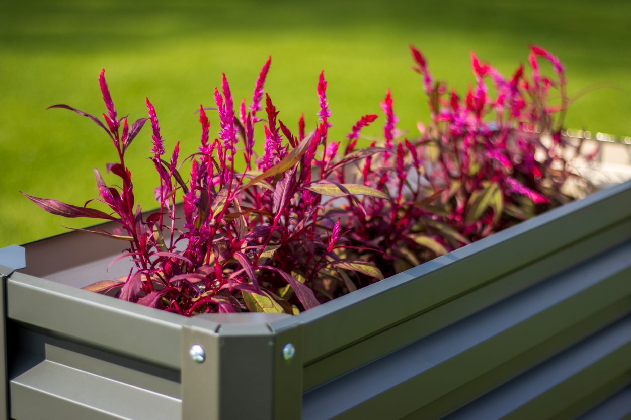 Amazon.ca Stratco US Garden Beds