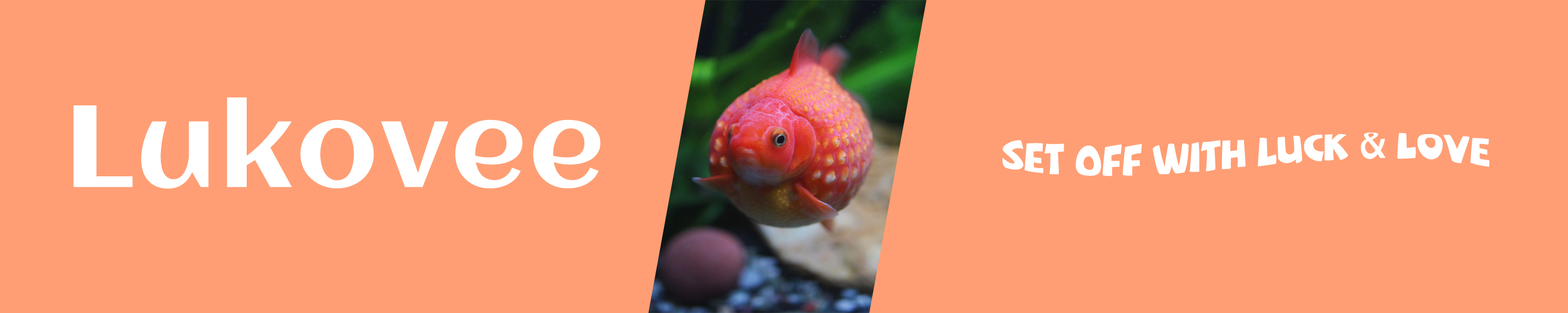 Lukovee FISH TANK SUPPLIES