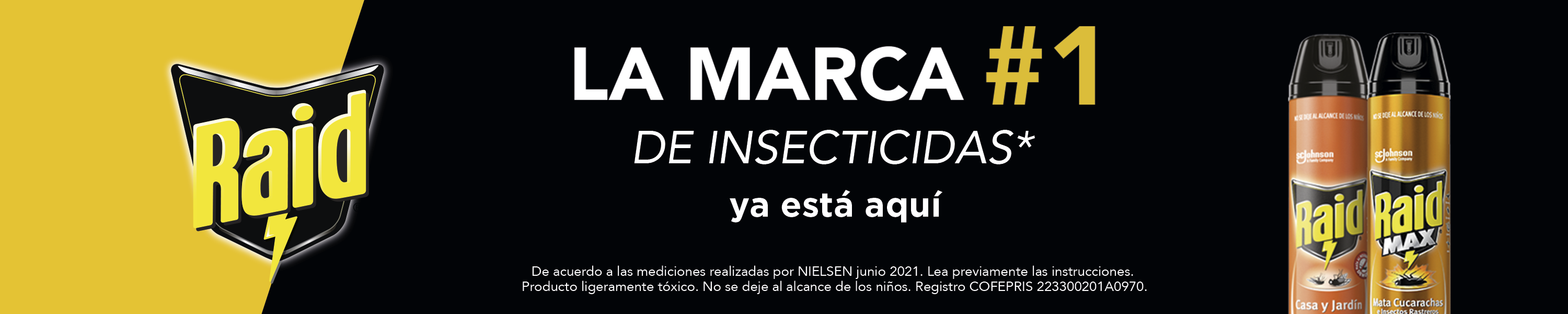 Amazon.com.mx: RAID: Lanzamientos