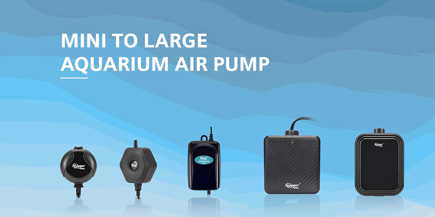 Amazon.ca hygger Air pump