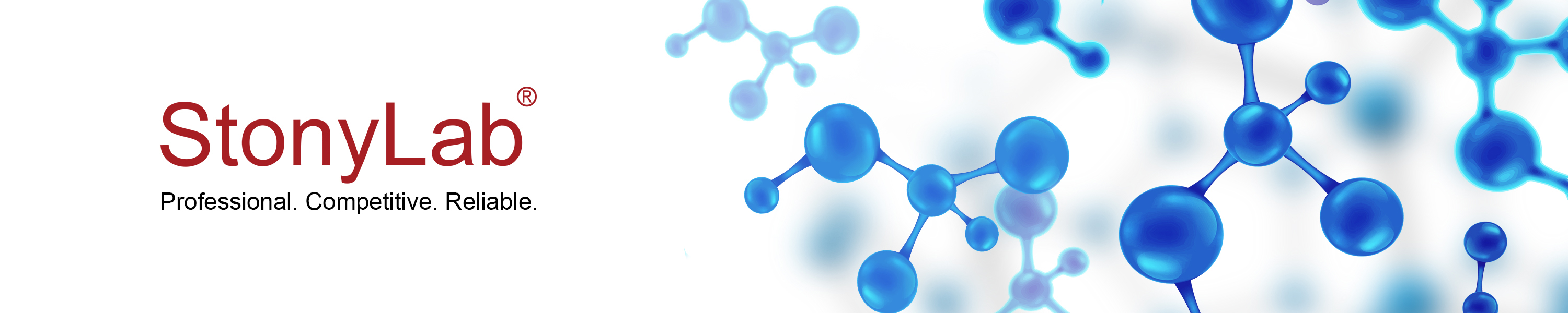 Amazon.ca StonyLab Scientific Reactor