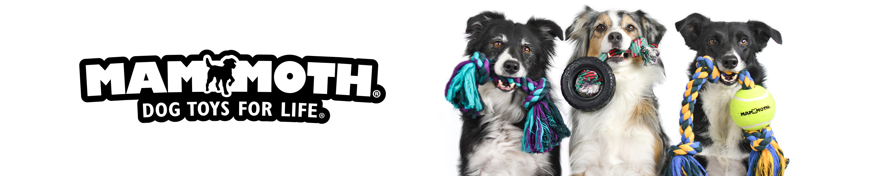 Mammoth Pet Products ABOUT US