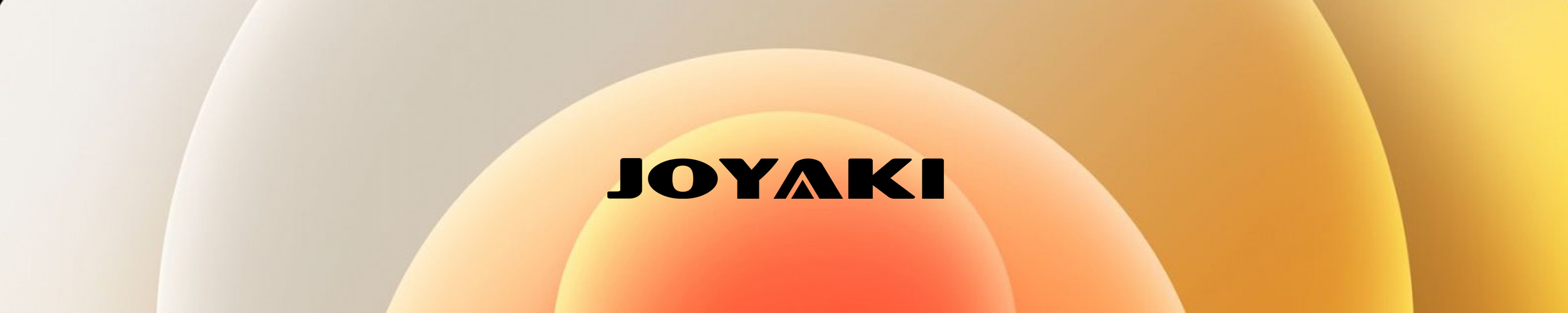 JOYAKI iphone 12 pro max wallet case