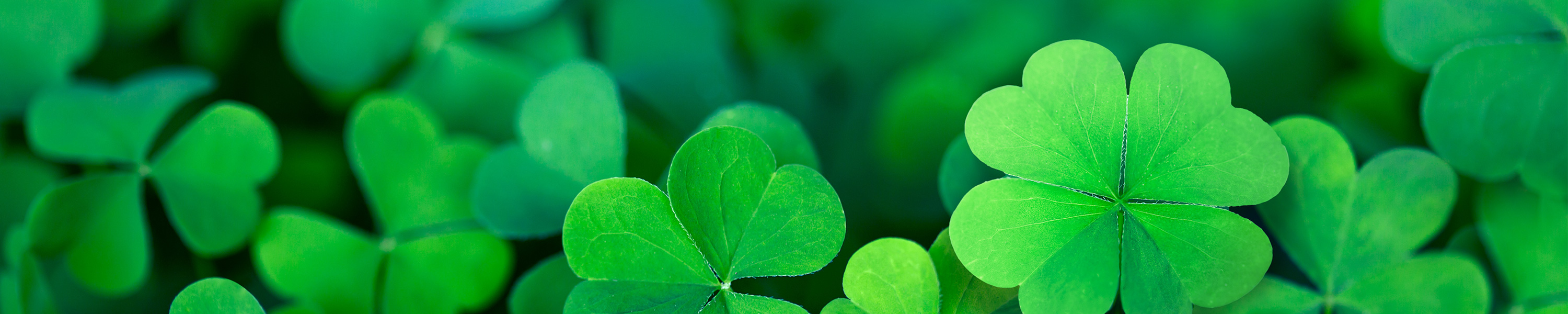 AENEY St. Patrick's Day Pillow Covers 16x16