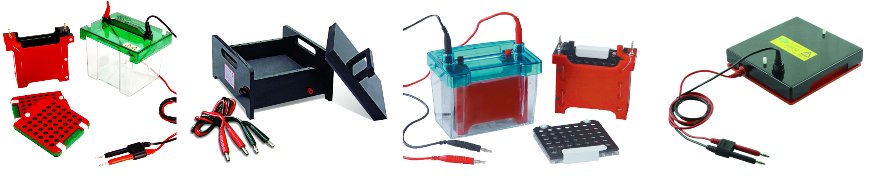 Amazon.com: BT Lab Systems: Western Blotting
