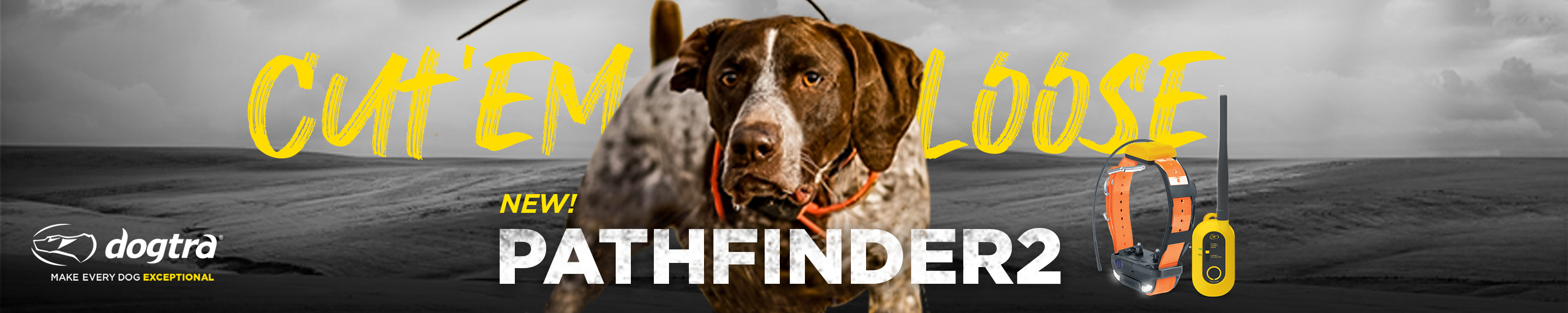 Dogtra GPS Tracking & Beepers