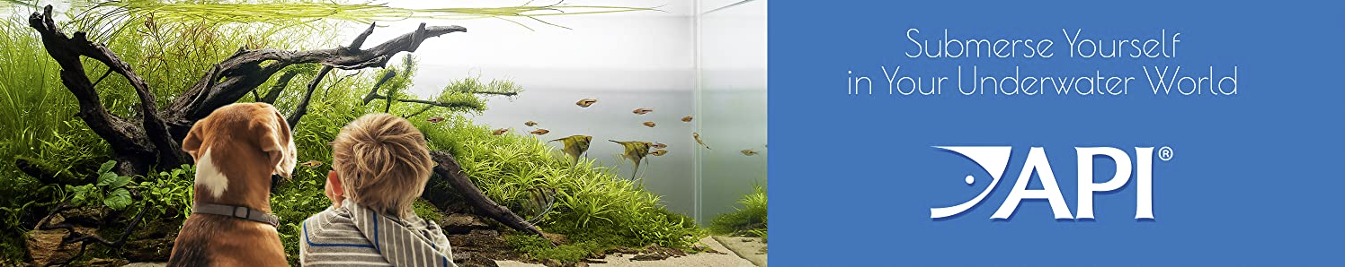 Amazon.com: API: Fish Food