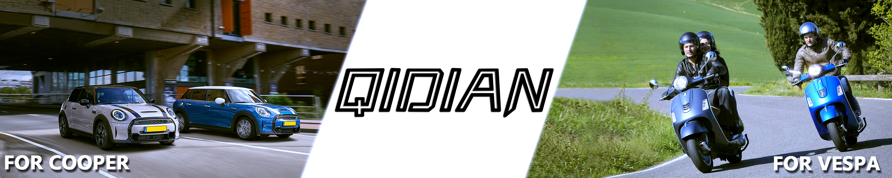 Amazon.com: QIDIAN