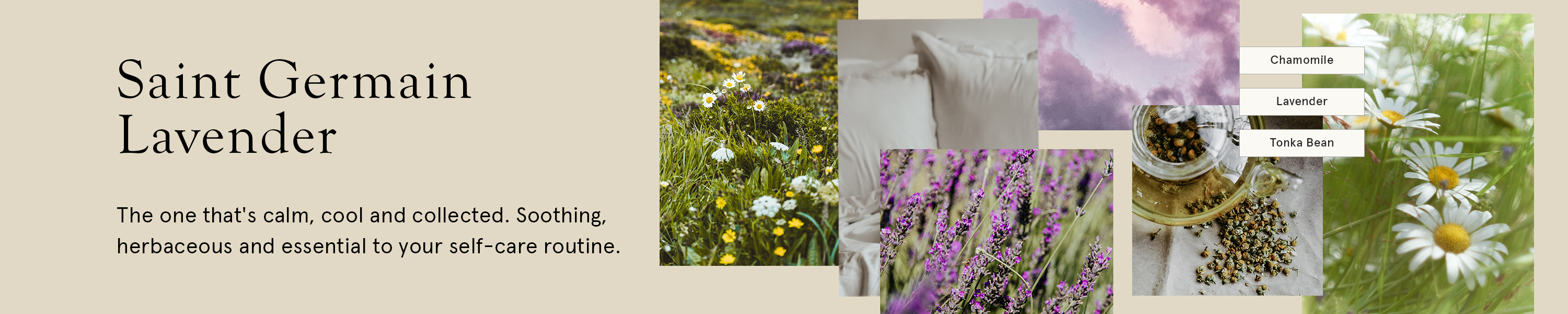 VOTIVO Saint Germain Lavender