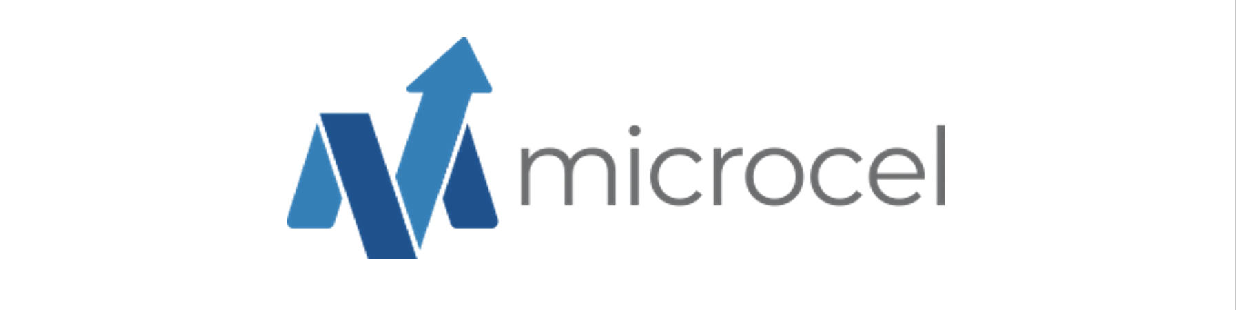 Amazon.ca: Microcel: OneAdaptr