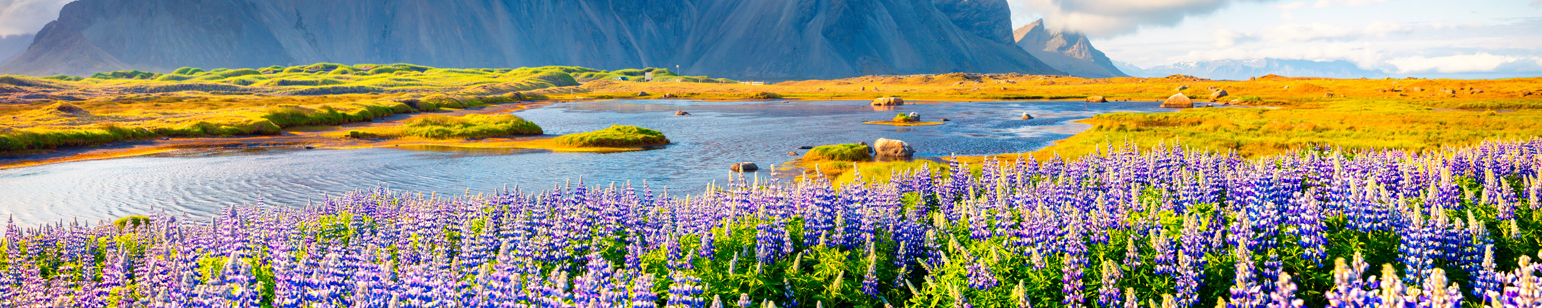 LUHOURI iPhone XR Case