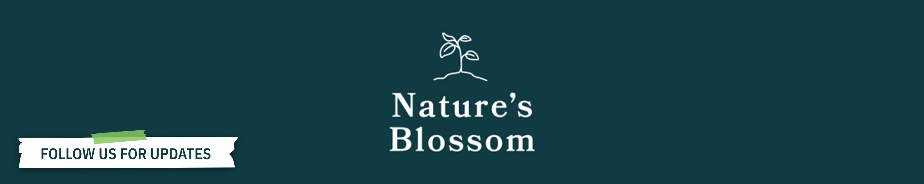 Nature's Blossom DIY Candle Making Kit