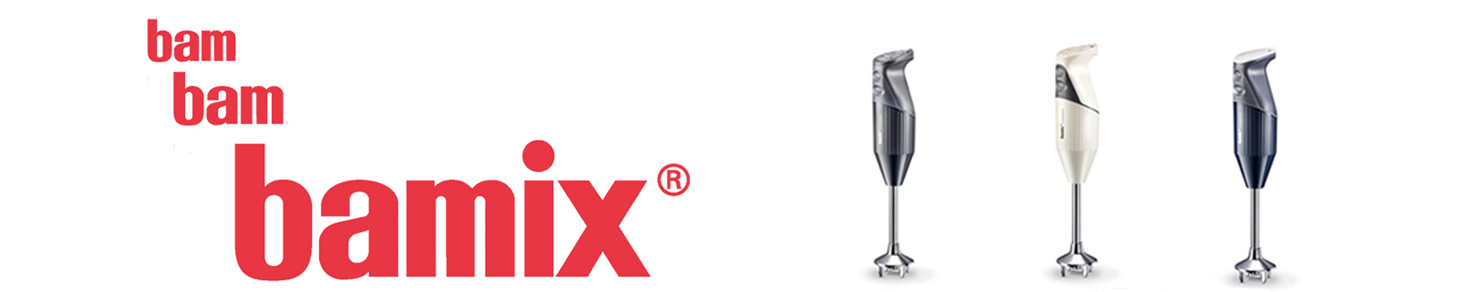 Amazon.ca Bamix RECIPES