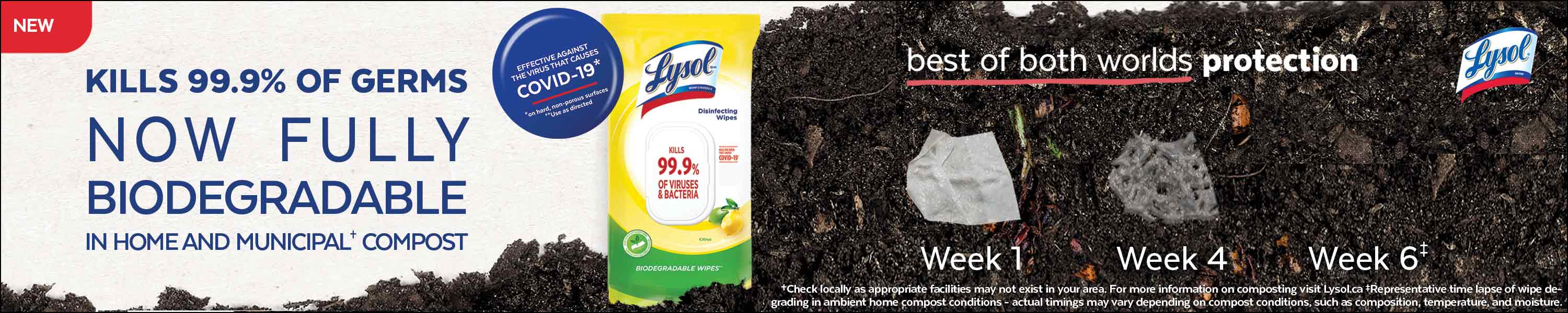 Amazon.ca: Lysol