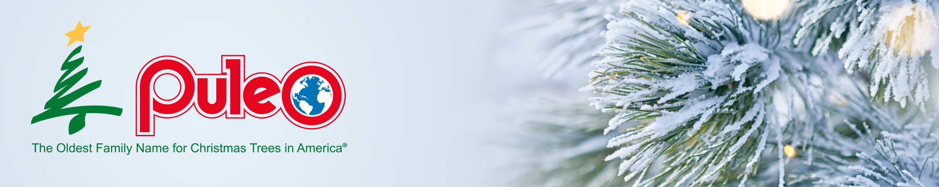 Puleo International Christmas Trees