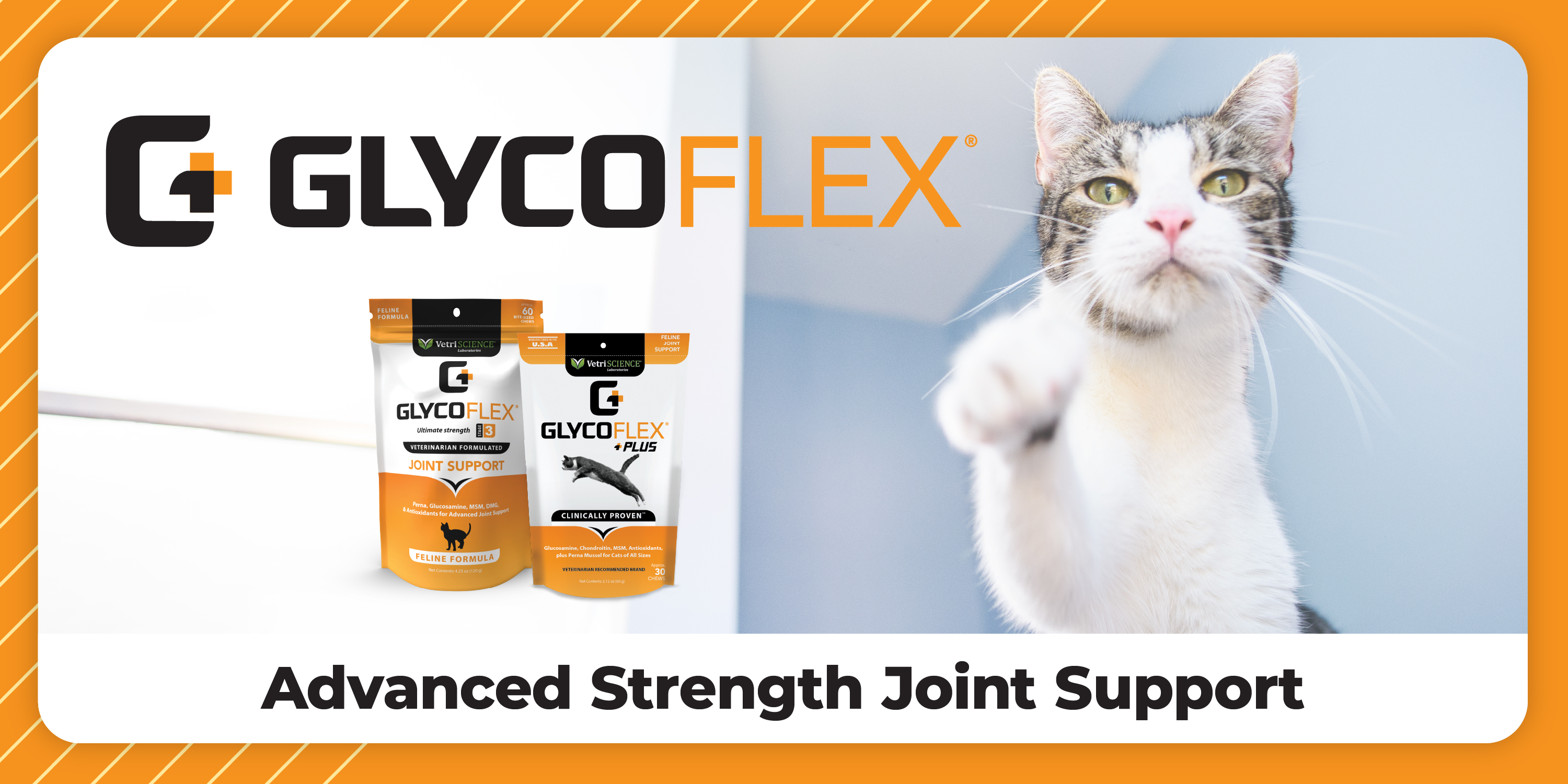 VetriScience Laboratories Hip and Joint