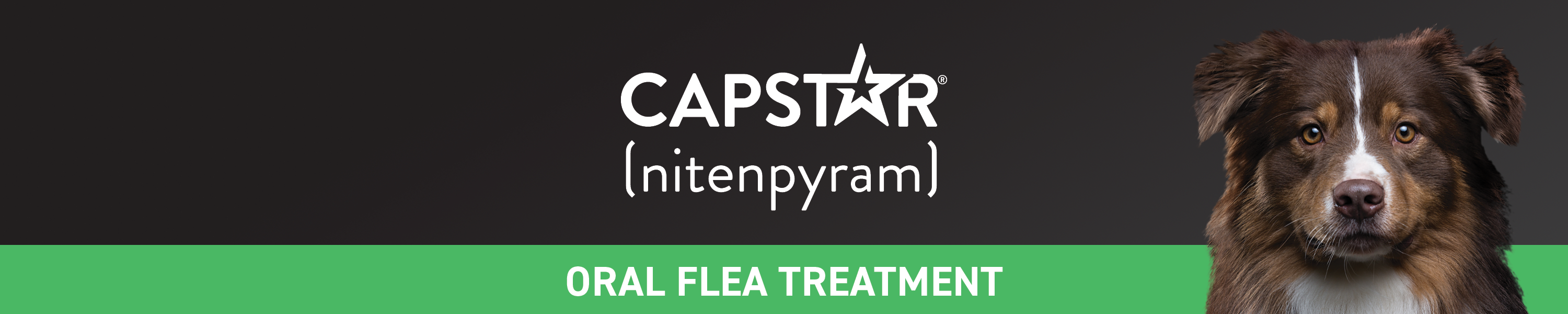 Capstar Nexstar at James Dewey blog