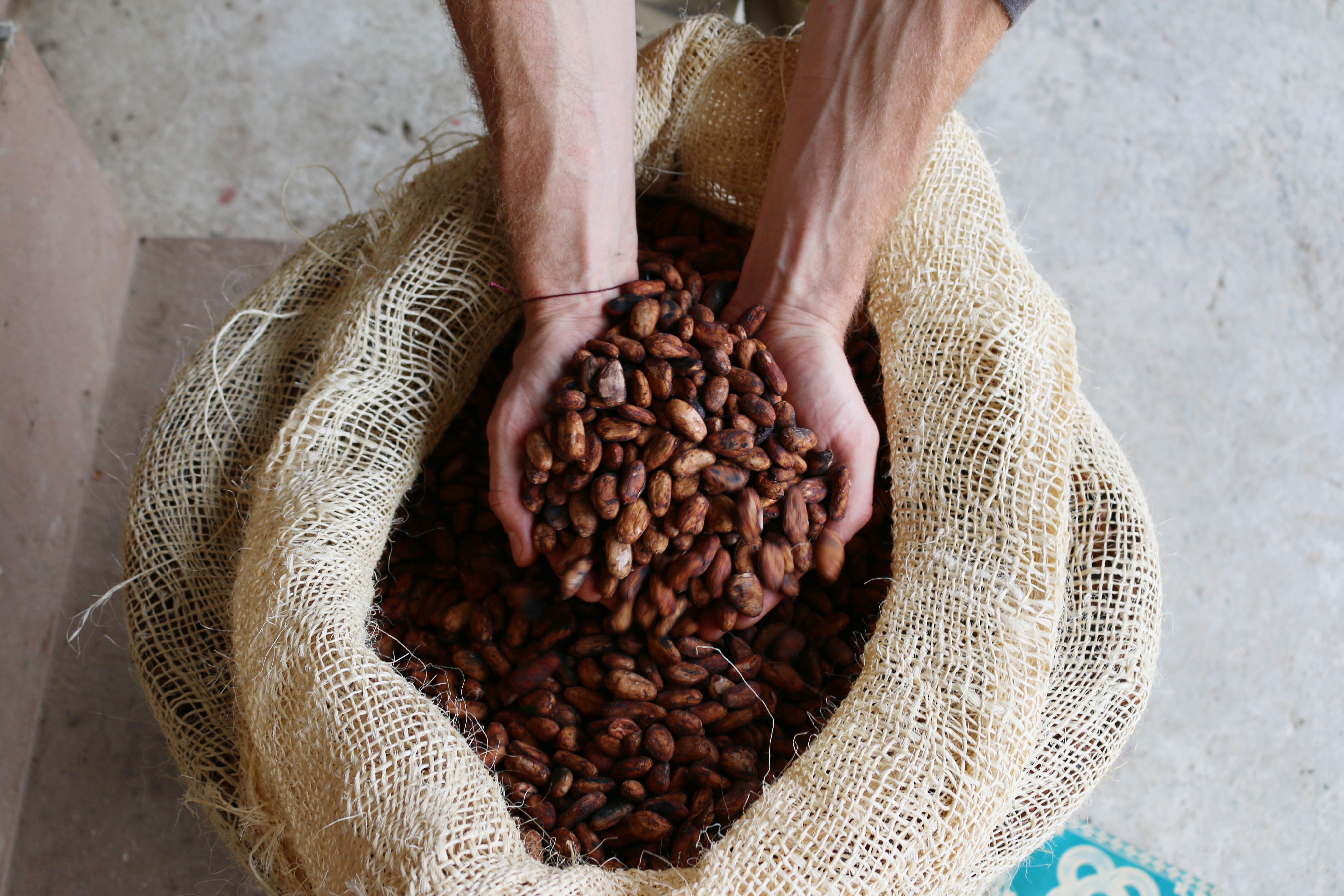 Amazon.com: CACOCO: Unsweetened Cacao