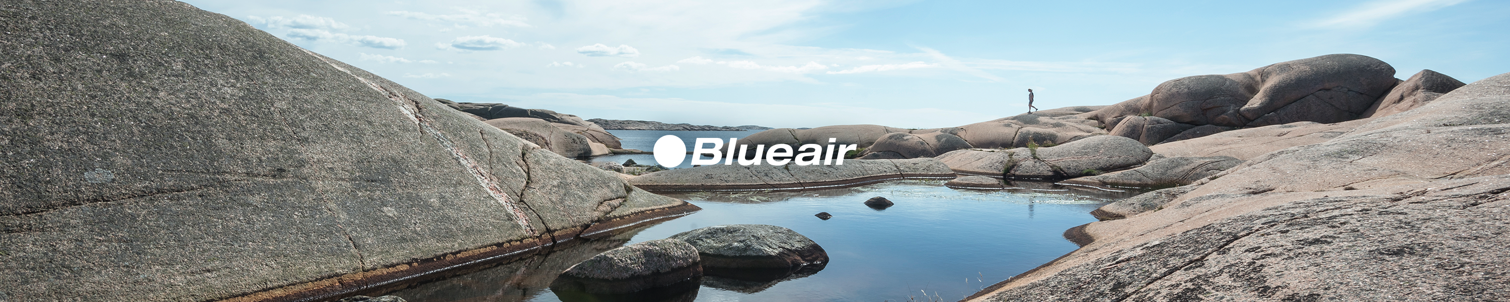 7 Best Air Purifiers For Mold Mold Help For You 7 best air purifiers for mold mold help for you