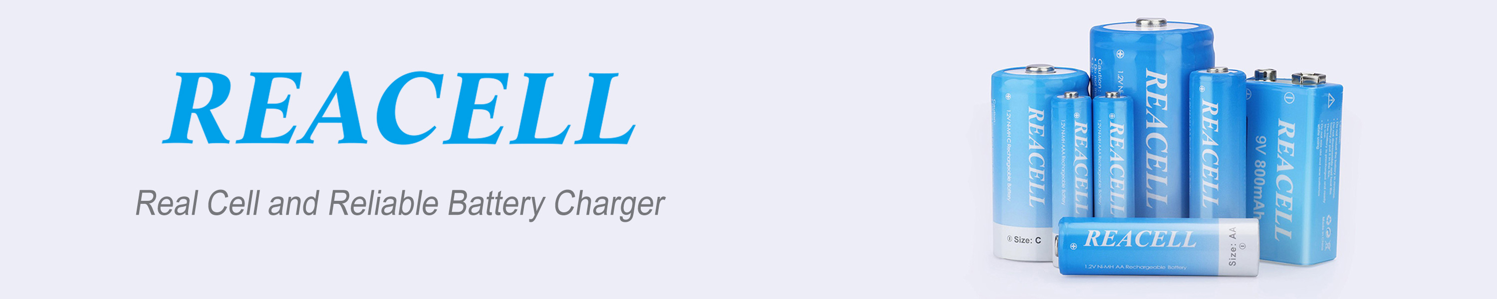 Amazon.com: REACELL: Battery Charger