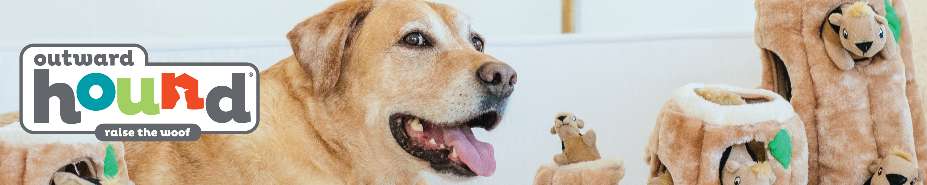 Outward Hound Dog Toys