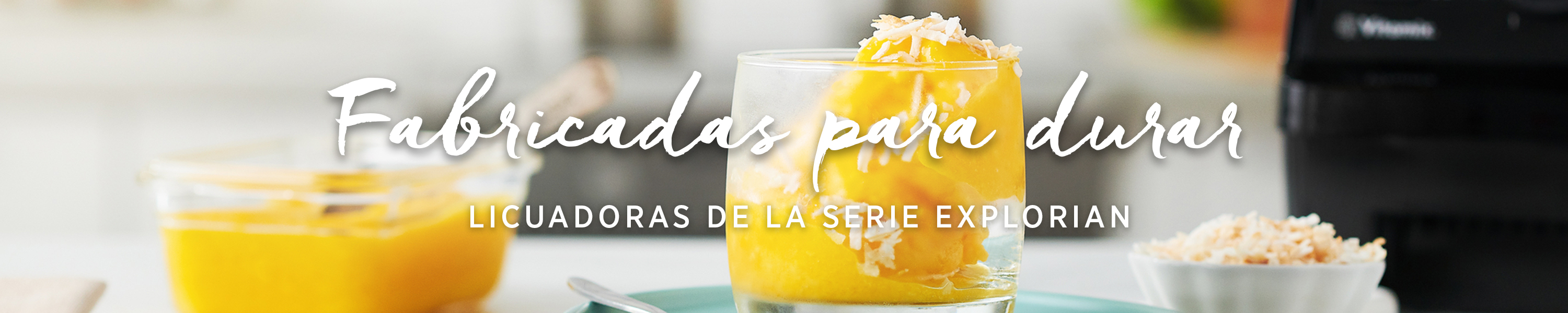 Vitamix® EXPLORIAN® SERIES