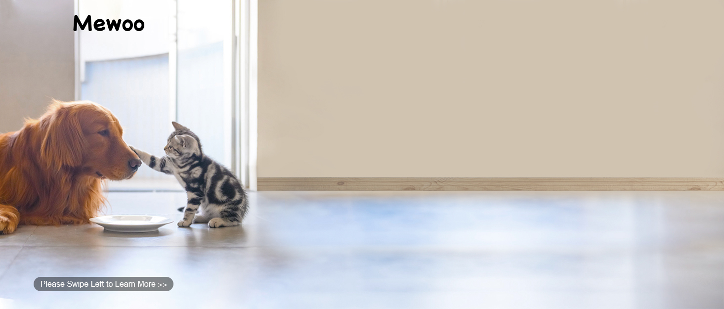 Amazon.ca: Fun for your pet's life.