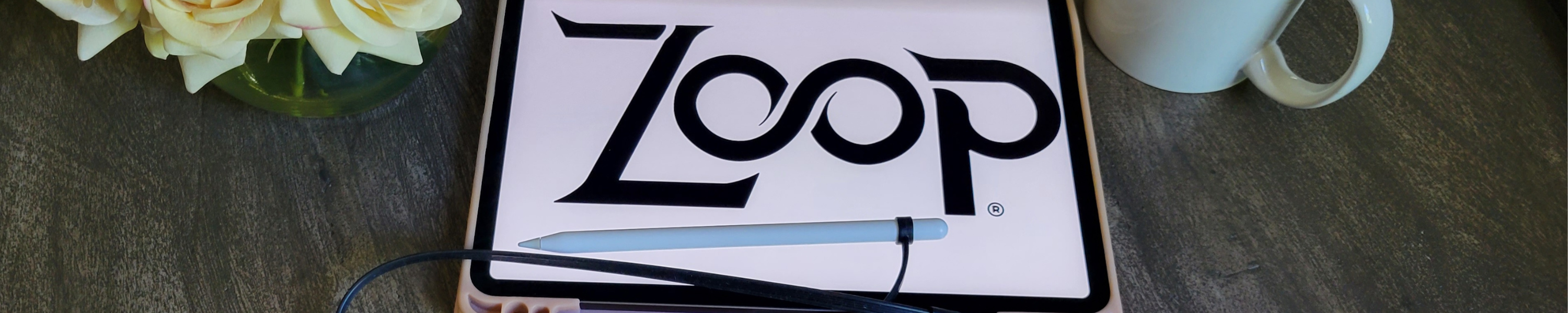 Zoopa Loopa Amazon.com: ZoopLoop