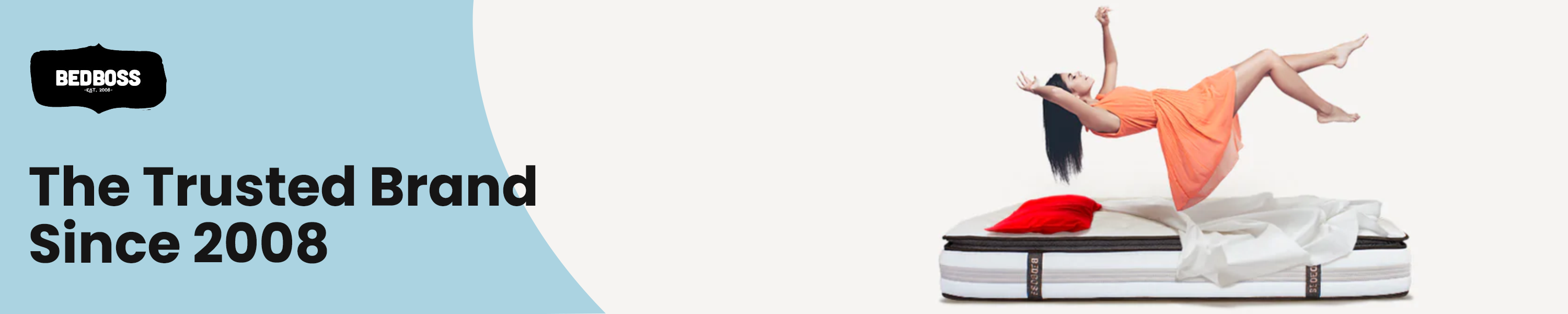 The Bed Boss Pillows