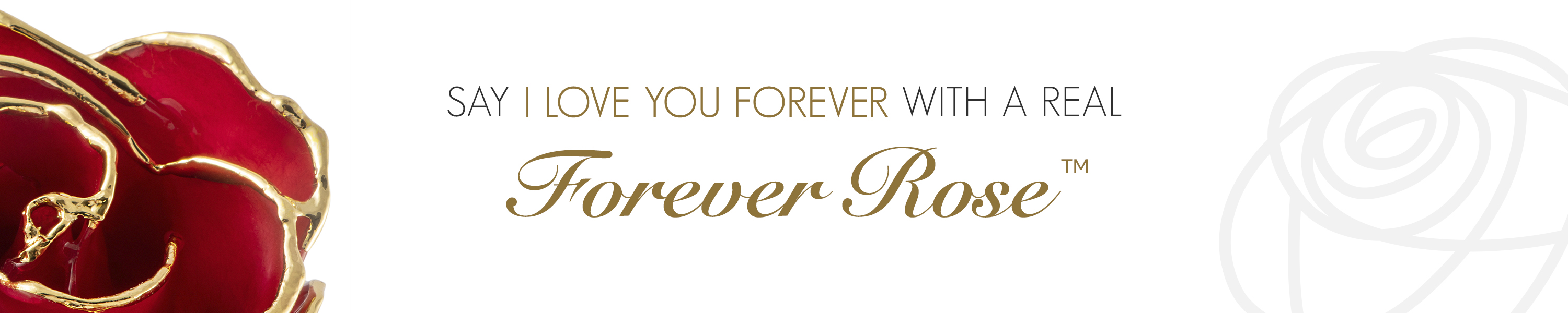 The Forever Rose
