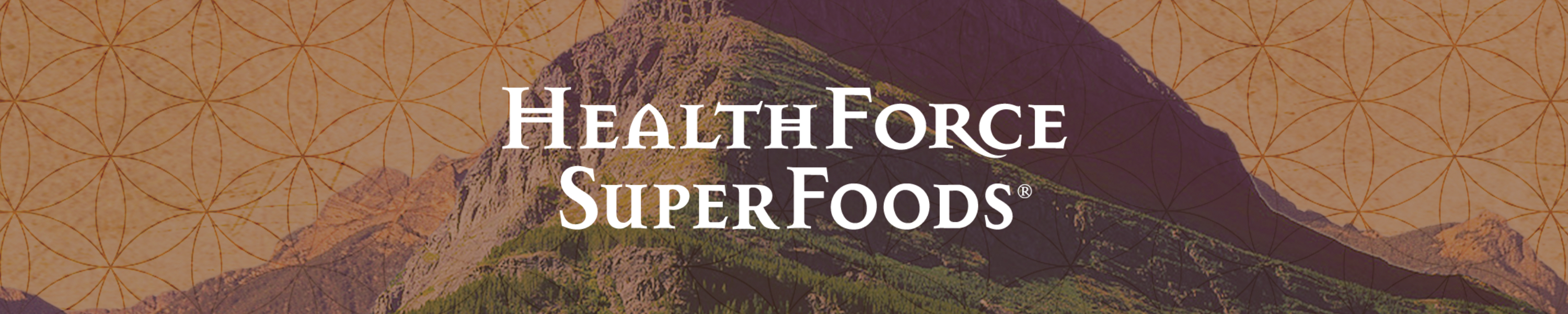 HEALTHFORCE SUPERFOODS Brain Support