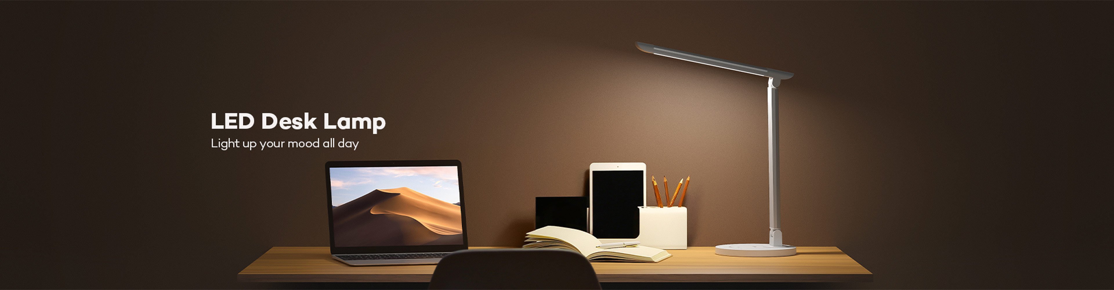 zanvia Desk Lamp