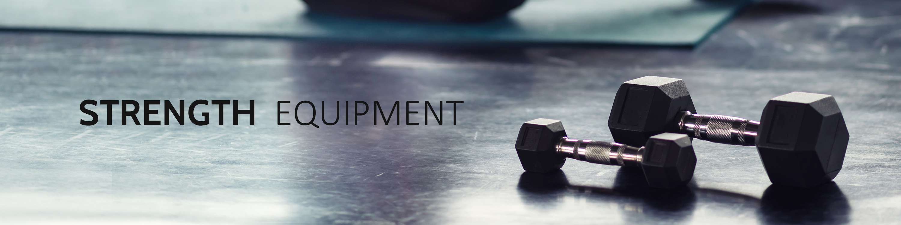 RITFIT LLC Barbells & Plates