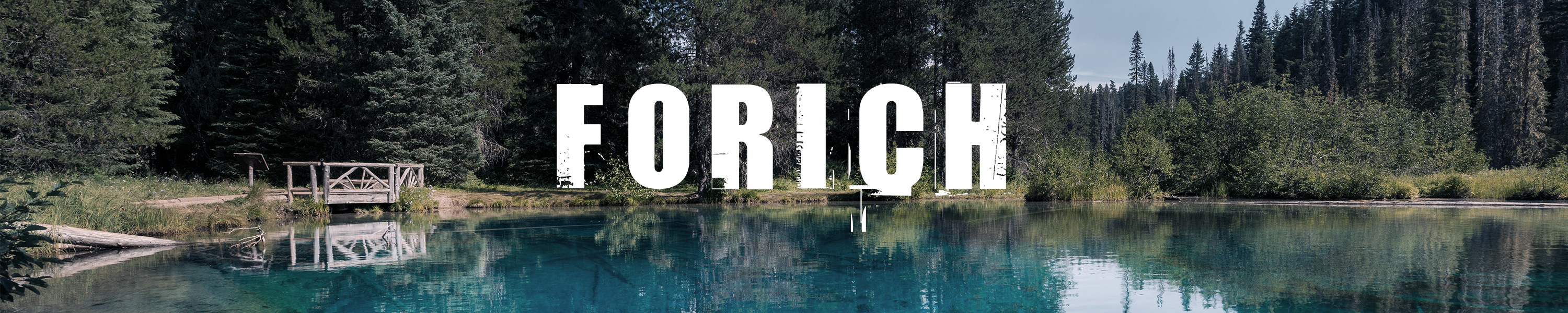 Amazon.com: FORICH: NEW RELEASE