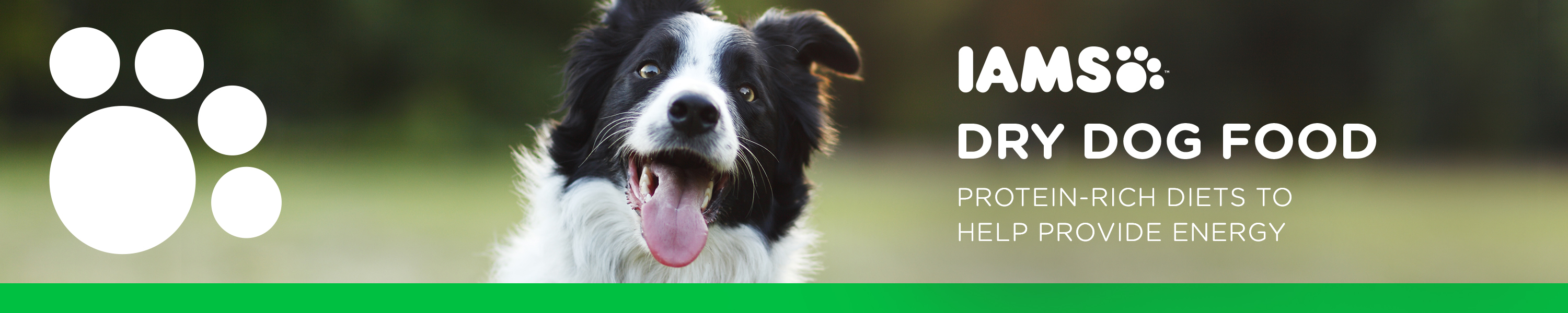 Amazon.ca IAMS BRAND STORE DRY DOG FOOD