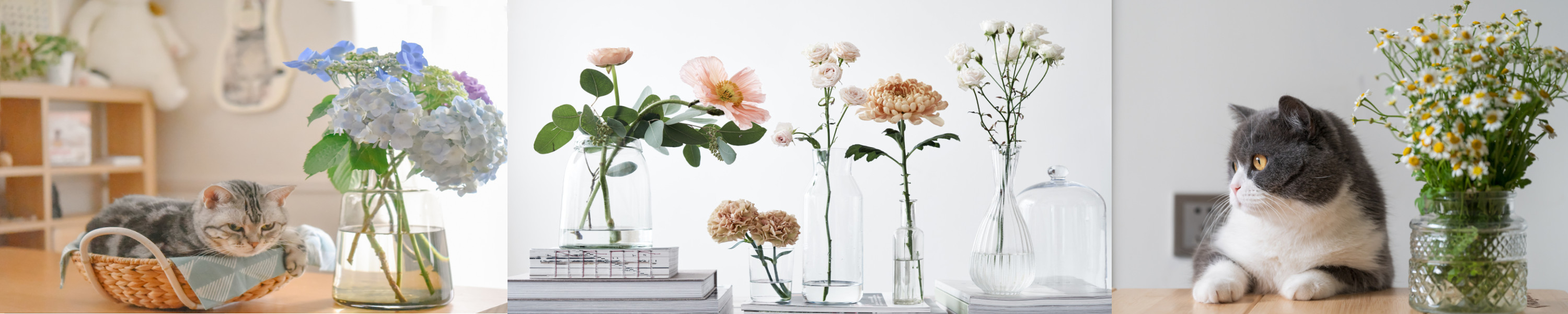 Your Kitchen Spice Organize Flower Vases