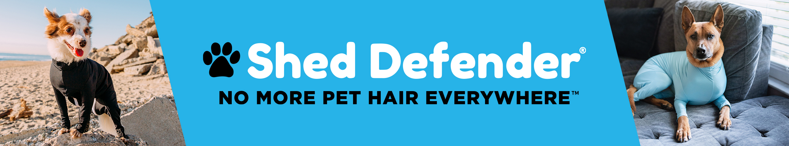 Shed Defender Leashes