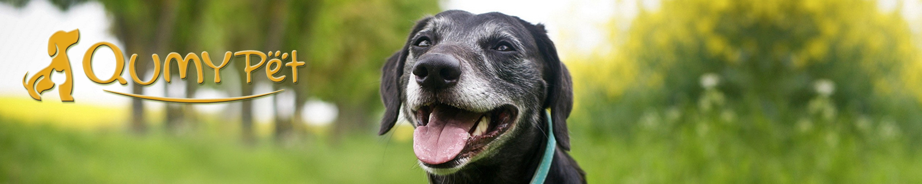 QUMY Dog Boots & Paw Protectors