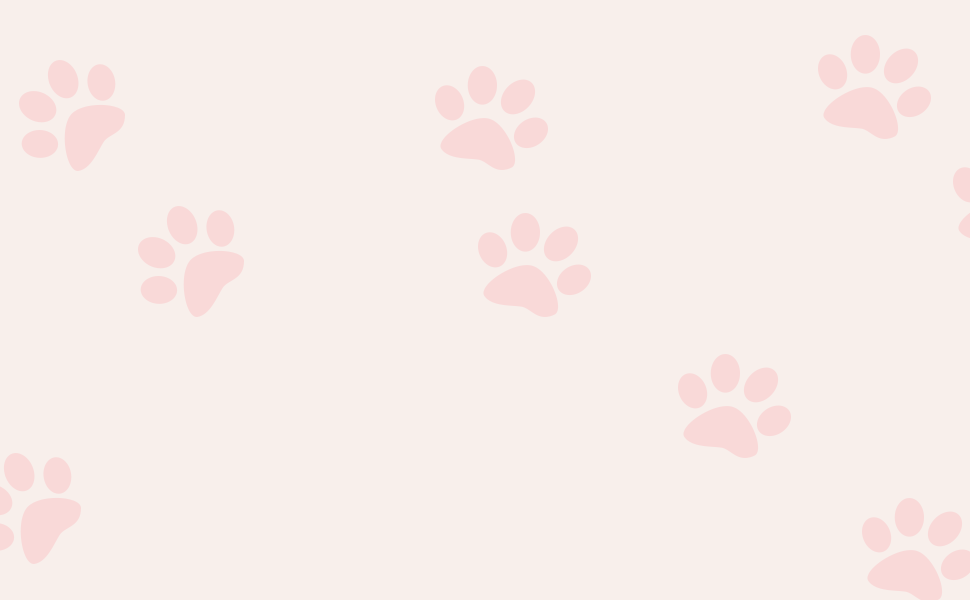 SUFEI DOG COLLARS AND LEASH SETS