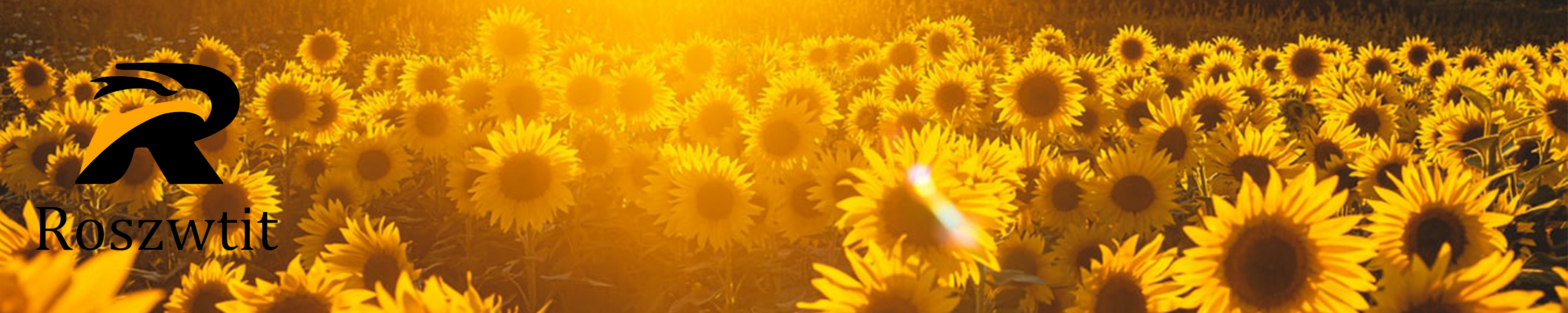 Roszwtit Summer Door Mat