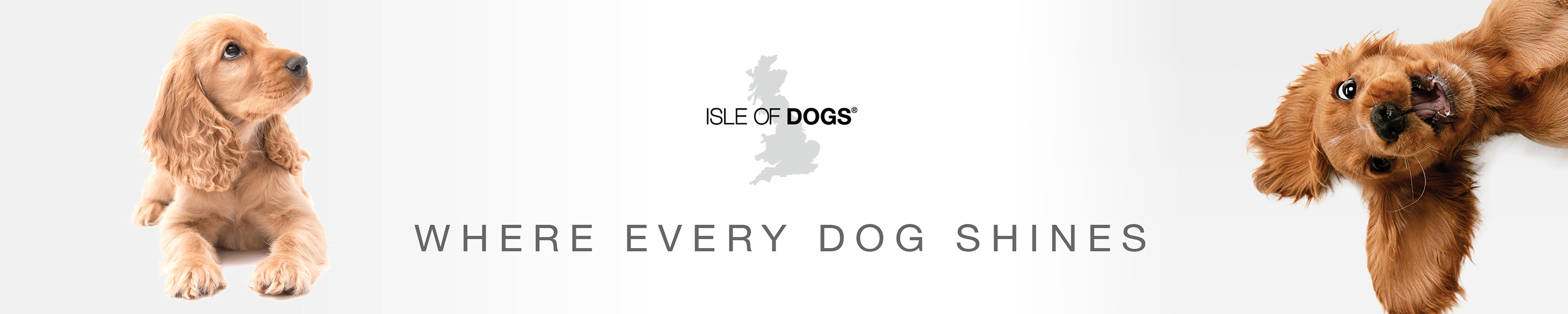 Isle of Dogs Shampoo