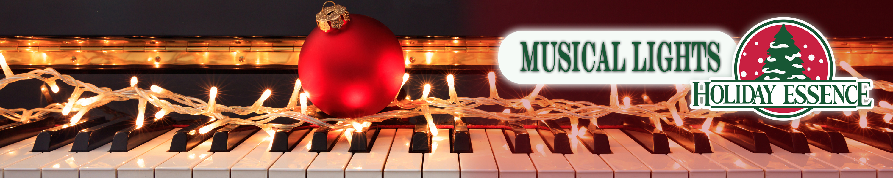 Holiday Essence Musical Christmas Lights