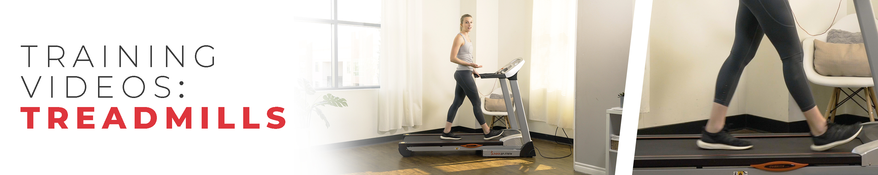 sunny fitness pro ii