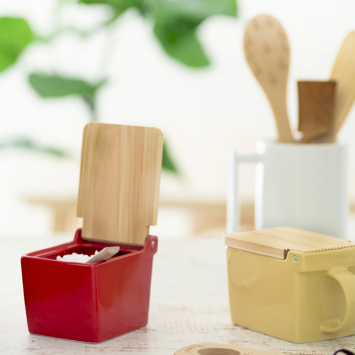 テネラ　ソルトボックス Amazon.com: ZERO JAPAN Kitchen Container Blueberry BST-17 BB